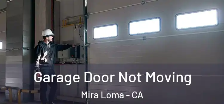 Garage Door Not Moving Mira Loma - CA