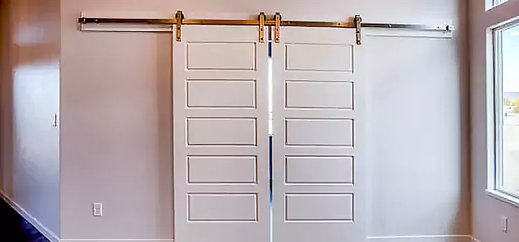 Glass Barn Door with Installation Hardware Kit Mira Loma