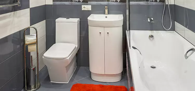 Hansgrohe Shaving Mirror Mira Loma